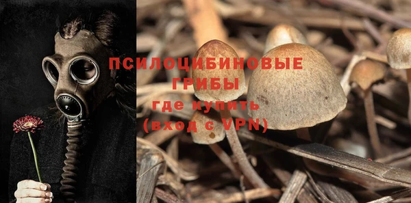 ALPHA PVP Кукмор